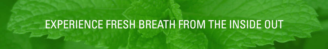 Experience Fresh Breath From The Inside Out